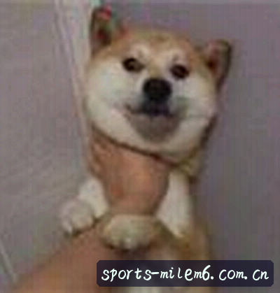 吴涛